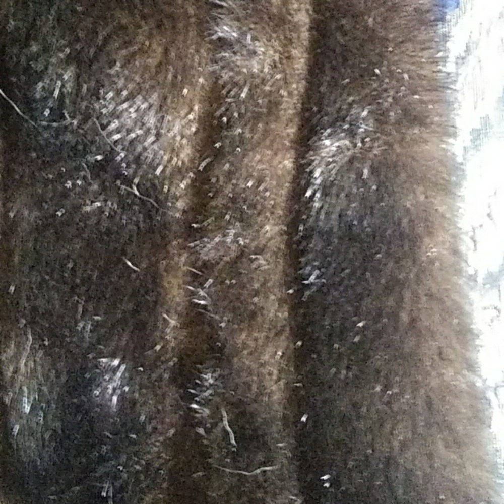 Jacket - Picture 7 of 7